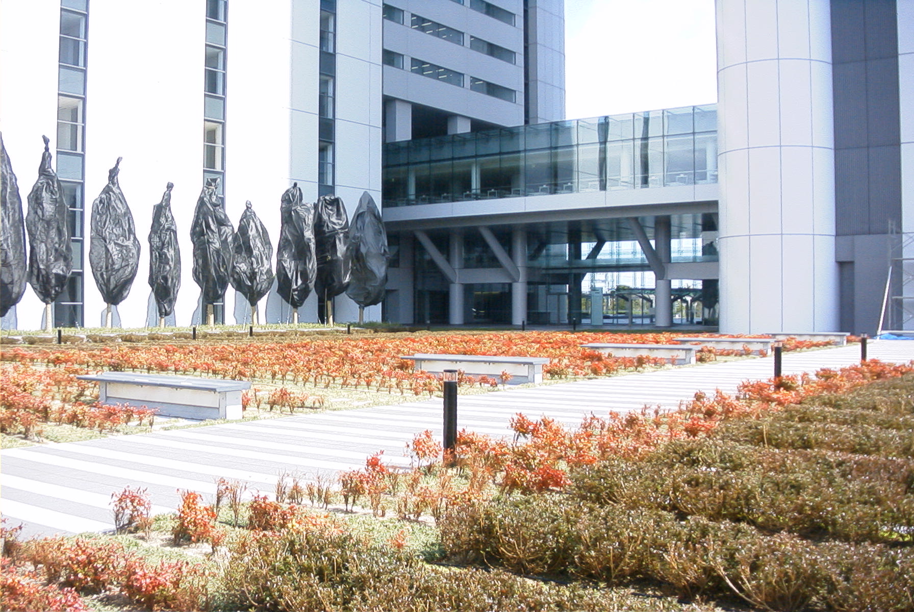 公共造園工事の現場